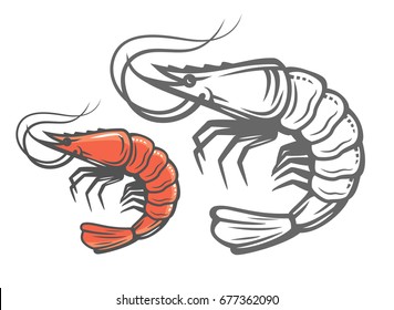 vector color prawn icon on white background