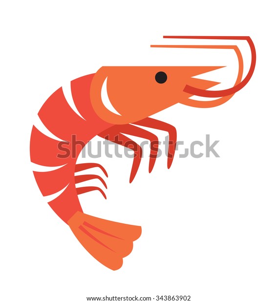 vector color prawn\
icon on white\
background