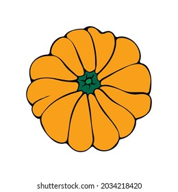 Vector color pumpkin in flat style, isolated. Top view. Symbol Halloween, autumn, crop, thanksgiving day, fruitful year