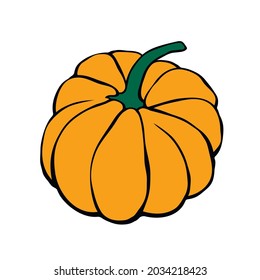 Vector color pumpkin in flat style, isolated. Symbol Halloween, autumn, crop, thanksgiving day, fruitful year