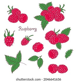 Berry de frambuesa de color vectorial con hojas