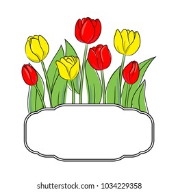 vector color red yellow tulips flower with green leaves oval frame for postcard on white