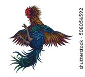 Vector Color Rooster Illustration