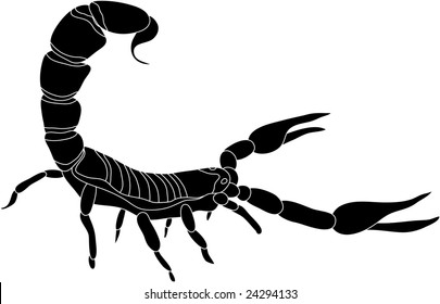 vector - color scorpion isolated on white background