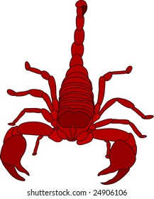 vector - color scorpion isolated on white background