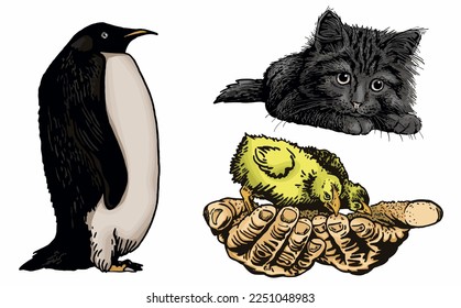 Vector color set of animals on white isolated. Graphical emements of fauna habitants