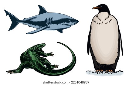 Vector color set of animals on white isolated. Graphical emements of fauna habitants