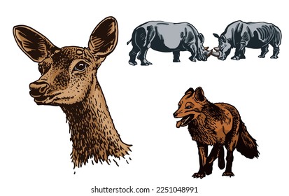 Vector color set of animals on white isolated. Graphical emements of fauna habitants