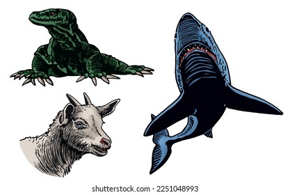 Vector color set of animals on white isolated. Graphical emements of fauna habitants
