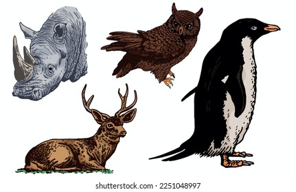 Vector color set of animals on white isolated. Graphical emements of fauna habitants