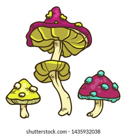 Vector color set of cartoon mushrooms for children illustration. Isolated on white background. Ingredients for magic potion