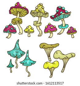 Vector color set of cartoon mushrooms for children illustration. Isolated toadstools on white background