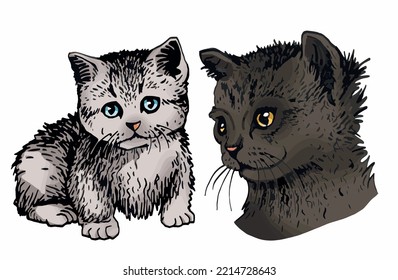 Vector  color set of cats,graphical drawing of domestic pets,illustration for design and books