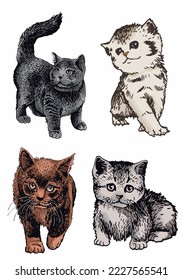 Vector color set of  cats,graphical drawing of domestic pets,illustration for design and books