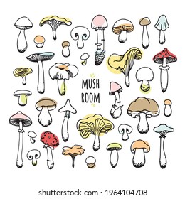 Vector color set of drawn mushrooms. Autumn mood isolated line art icon collection, print, banner, poster, greeting card design element. Doodle isolated on white background