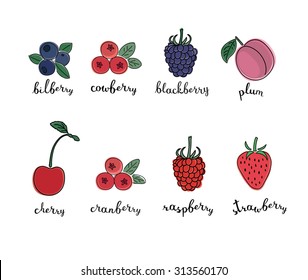 Vector color set illustration of different kinds of berries with inking and lettering name in English on white isolated background