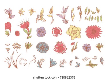 vector color set leaves, brunches and meadow flowers on a white background