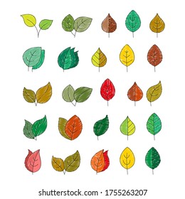 Vector color set of leaves in the Doodle style for design and decoration of thematic illustrations,
