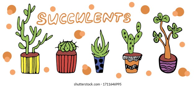 vector color set of succulents on a white background. ector set with succulents. potted succulents, adenium