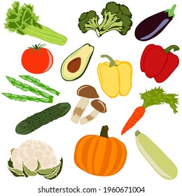 Conjunto de verduras de color vectorial sobre fondo blanco.Tomate, pepino, brócoli, espárragos, coliflor, berenjena, zucchini, zanahoria, setas, apio. Alimentos vegetarianos saludables.