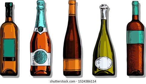 Vector color set of wine and champagne bottles in ink hand drawn style. isolated on white.