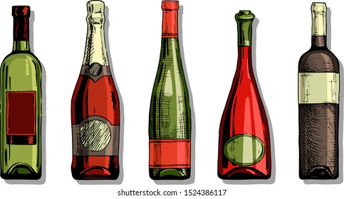 Vector color set of wine and champagne bottles in ink hand drawn style. isolated on white.