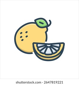 Vector color shadow icon for citrus fruit