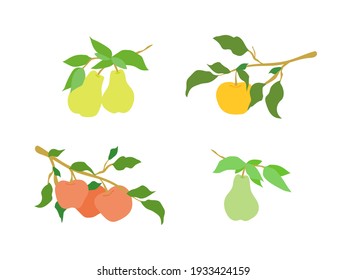 Vektorfarbige einfache Reihe von Obstzweigen. Dekoration für Küchendesign, Lebensmittelverpackung, Vektorgrafik von Lebensmitteln, Obstbaum. Äpfel und Birnen, handgezeichnet, auf einem Zweig mit Blättern