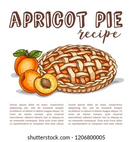 Vector color sketch apricot pie reciep, line art, hand drawn illustration