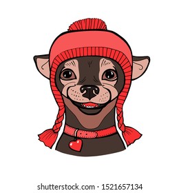 Vector color sketch of the cartoon hipster cute dog Chihuahua breed in knitted hat