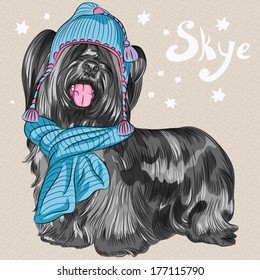 Vector color sketch of the cartoon hipster cute dog Skye Terrier breed in knitted hat and scarf