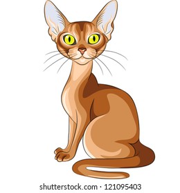 vector color sketch cartoon red cat Abyssinian breed with flashing amber eyes