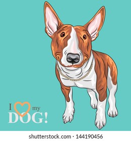 Vector color sketch of cheerful smiling Excellent Bull Terrier Dog in black and tan isolated on the white background