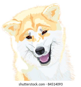 vector color sketch, closeup portrait, Akita Inu Japanese Dog smiles
