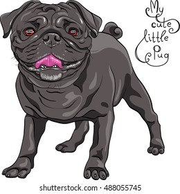 Vector color sketch cute dog black pug breed