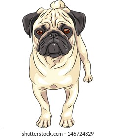 Vector Cute Dog Pug Breed Fawn Stock Vector (Royalty Free) 1711469416 ...