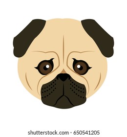 vector color sketch cute serious dog fawn pug breed