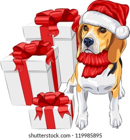 vector color sketch of the dog Beagle breed  in the red hat of Santa Claus with Christmas gifts