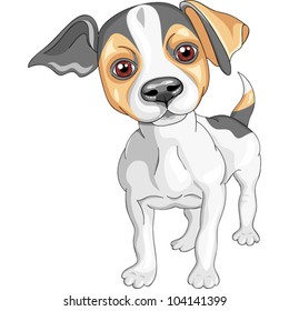 vector color sketch of the dog Jack Russell Terrier breed