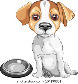 vector color sketch of the dog Jack Russell Terrier breed sits in front of an empty bowl, asks to eat
