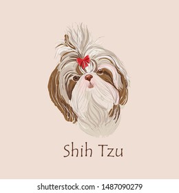 Vector color sketch of the dog Shih Tzu on white background 