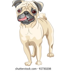 vector color sketch of the dog smile fawn pug breed