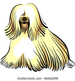 vector color sketch of the dog Tibetan Terrier breed sitting