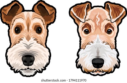 Vektorfarbskizze des Hundes Wire Fox Terrier