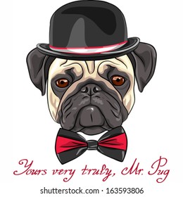 Vector color sketch hipster serious dog fawn pug breed in a hat and bow tie