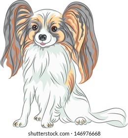 Vector color sketch Papillon red and black dog with long shaggy ears