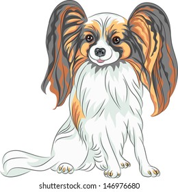 Vector color sketch Papillon red and black dog with long shaggy ears