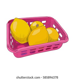 Vector color sketch of plastic container with lemons. Food box with lemons. Hand drawn illustration.