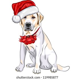 2,892 Labrador christmas hat Images, Stock Photos & Vectors | Shutterstock