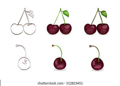 Vector, color and sketch, tasty black cherries